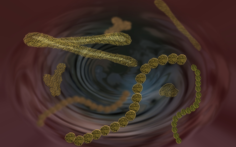 πολωνία-κρούσματα-της-γρίπης-των-πτην-2355964