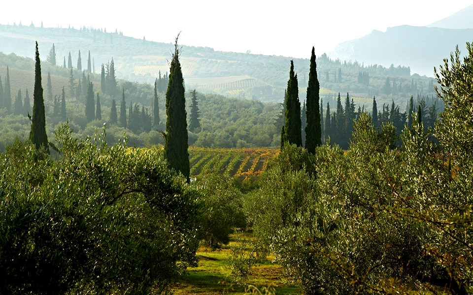 25-χρόνια-gaia-wines-το-χρονικό-μιας-επιτυχημένη-2358490