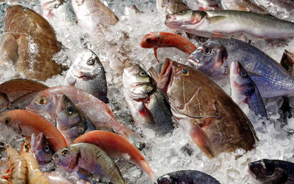 kάθε-ψάρι-στον-καιρό-του-2361076