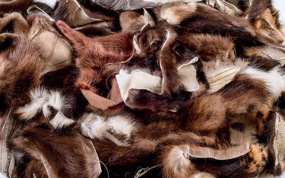 λίγη-αλήθεια-για-τις-γούνες-2360353