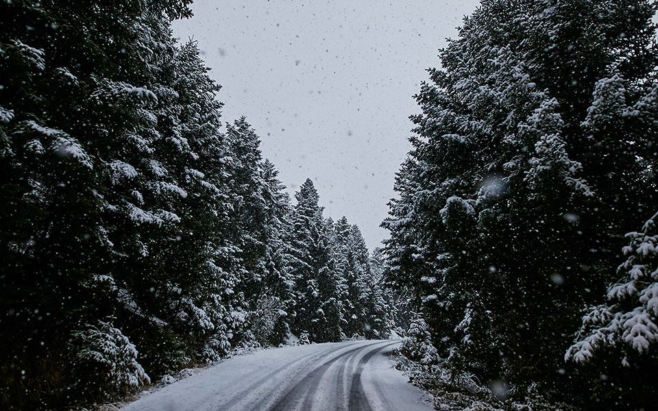 σε-υψηλή-ετοιμότητα-οι-υπηρεσίες-στην-2356427