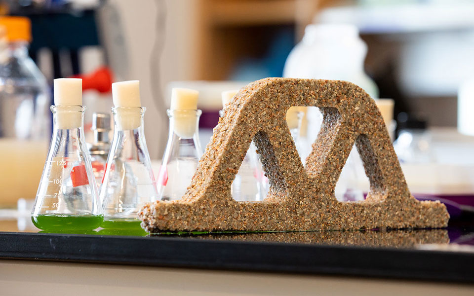 επιστήμονες-δημιούργησαν-ζωντανό-μ-2358404