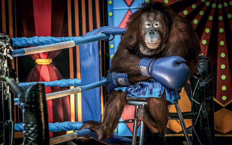 μια-μάχη-χαμένη-από-χέρι-2364829