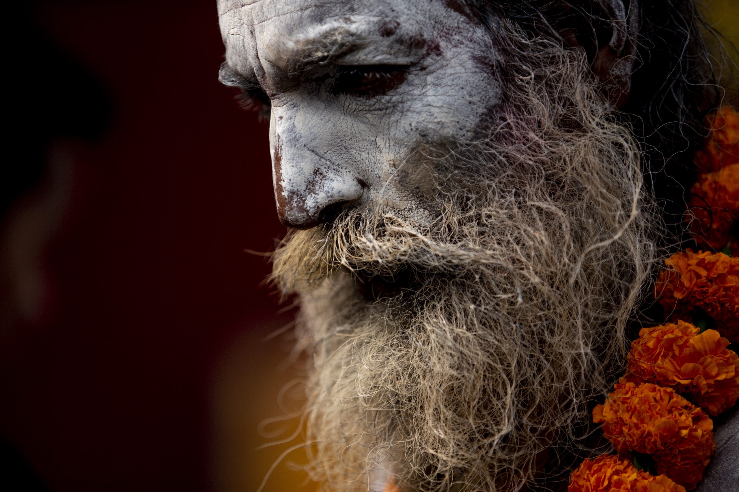 φωτογραφήματα-2364531