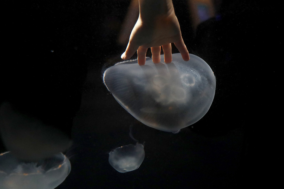 φωτογραφήματα-2364862