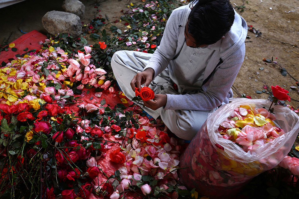 φωτογραφήματα-2363117