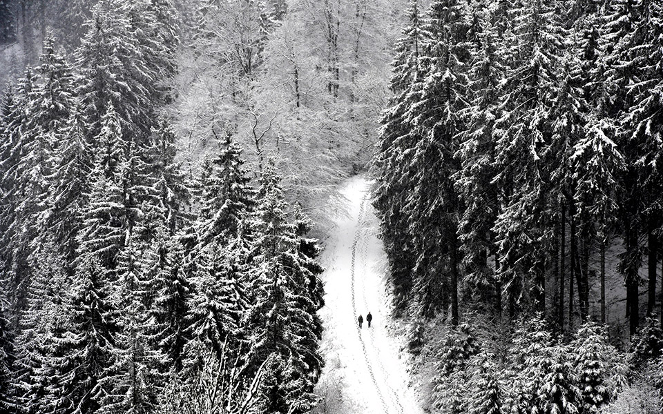 έσεν-η-μεγάλη-πορεία-μέσα-στο-χιόνι-2362544