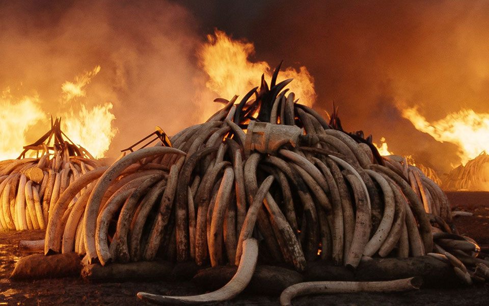 το-βήμα-που-ίσως-είναι-το-τελευταίο-2365932