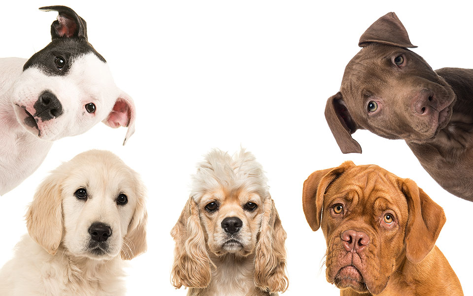 ο-θάνατος-των-εμποράκων-2363298