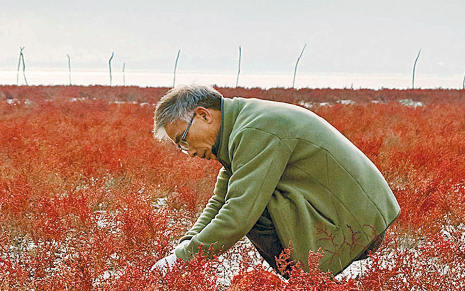 περιπλανήσεις-2365083