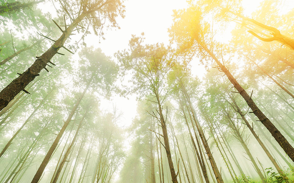 η-γαλήνη-εν-μέσω-της-καταιγίδας-2363296