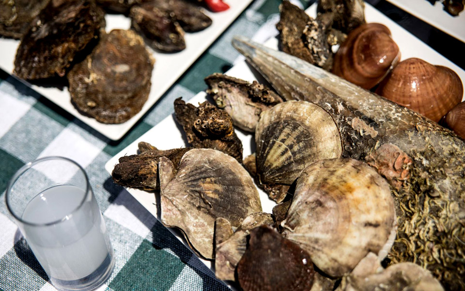 τα-οστρακοχώρια-της-καλλονής-2363837