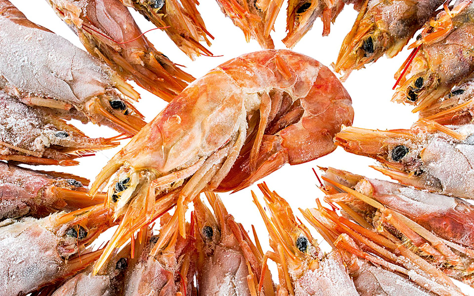 επιλέγοντας-κατεψυγμένες-γαρίδες-2365527