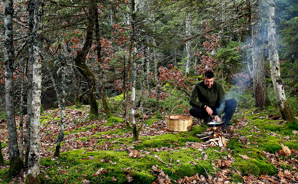 στα-άγραφα-για-άγρια-μανιτάρια-2362562