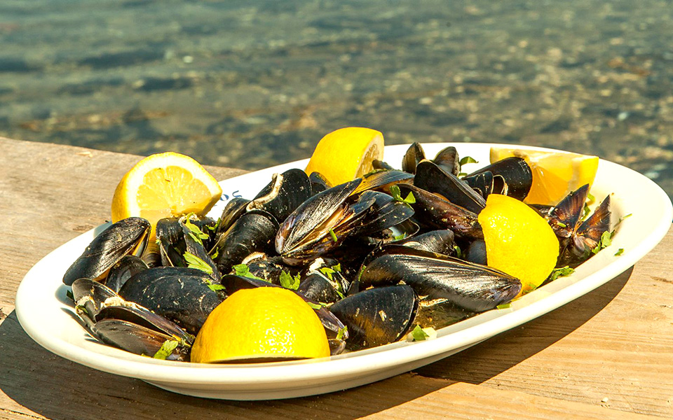 μύδια-αχνιστά-και-πικάντικα-2365561