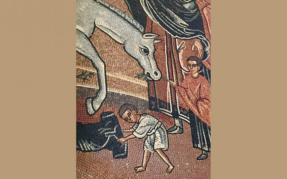αγία-φιλοζωία-2362719