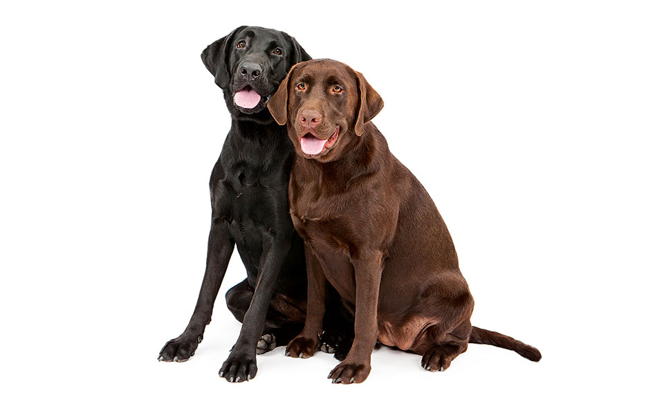 το-σύνδρομο-του-μαθουσάλα-2365381