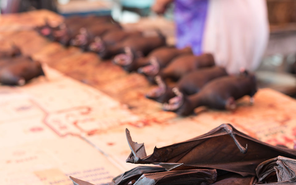 κορωνοϊός-η-τρέχουσα-επιδημία-και-οι-ε-2361291