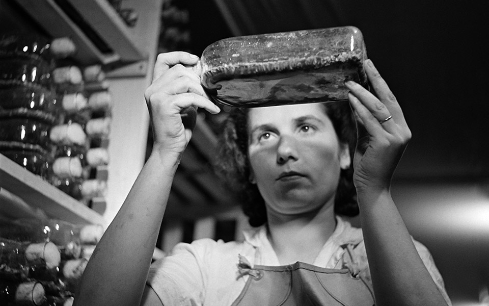 παρασκευάζοντας-την-ελπίδα-2371194