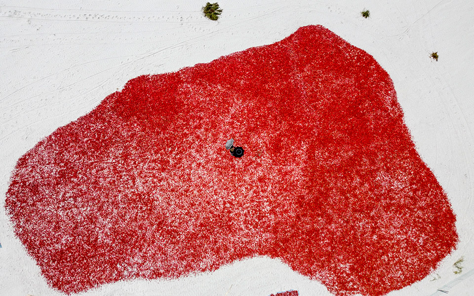 μπαγκλαντές-η-εποχή-της-πιπεριάς-2369964