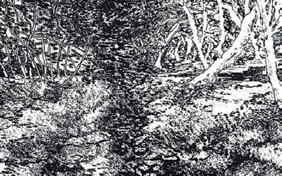 η-πολιτιστική-ατζέντα-της-παρασκευής-2368363