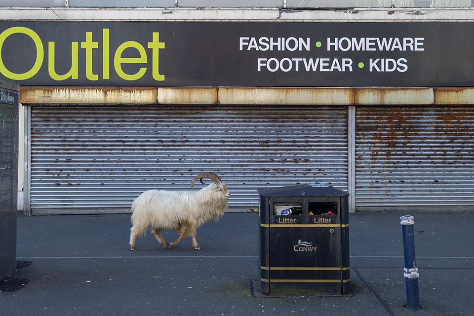 φωτογραφήματα-2371277