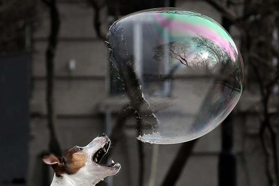 φωτογραφήματα-2367023