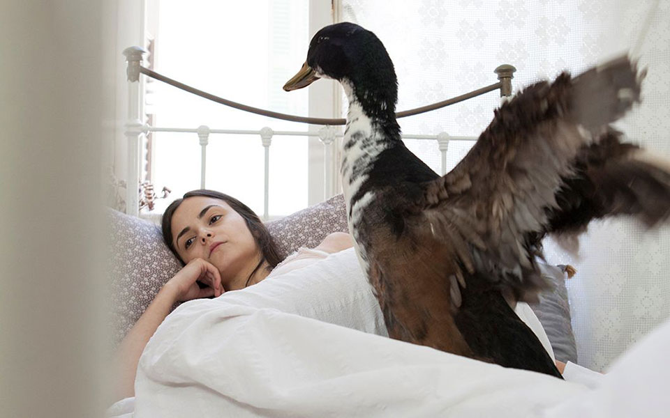 εκτάκτως-2370098