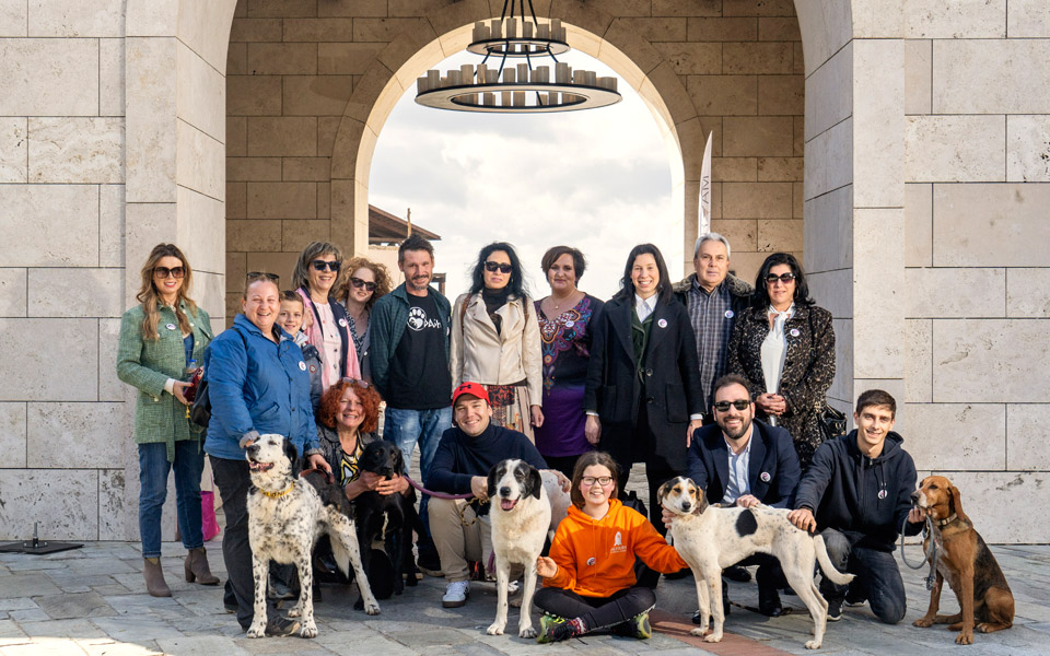 μεσσηνία-χωρίς-αδέσποτα-2366305