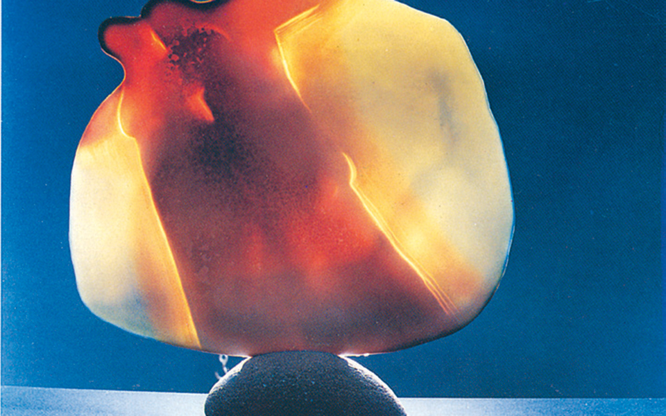 υπηρετώντας-ταπεινά-και-αθόρυβα-την-τ-2368082