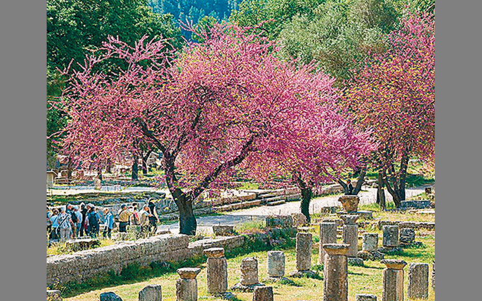 εκτάκτως-2369021