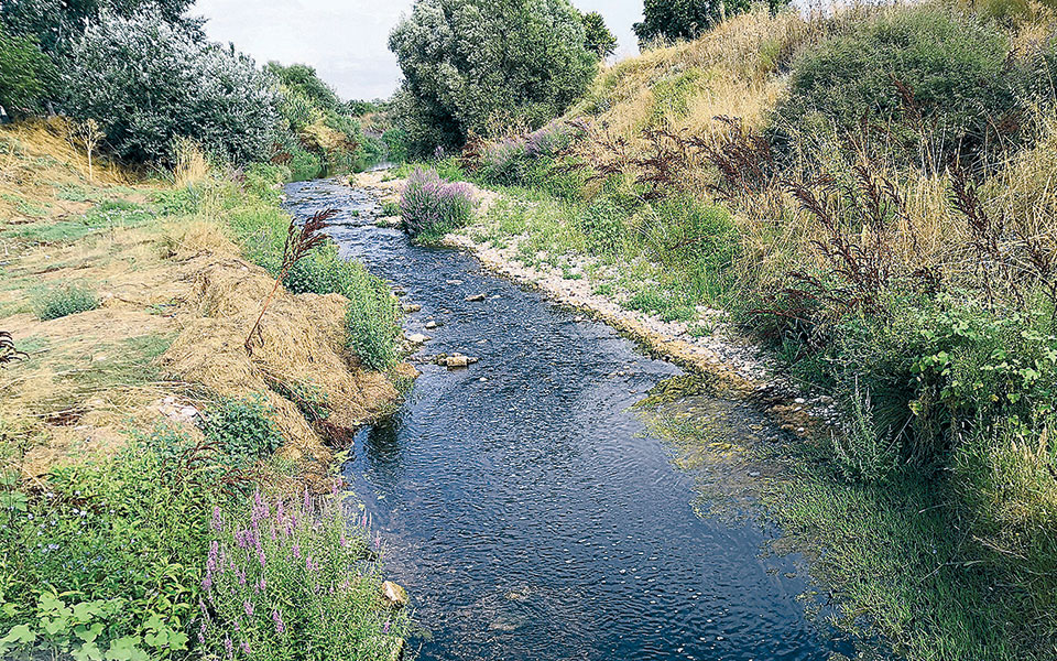 αόρατο-κοκτέιλ-ρύπων-στον-ασωπό-2370891
