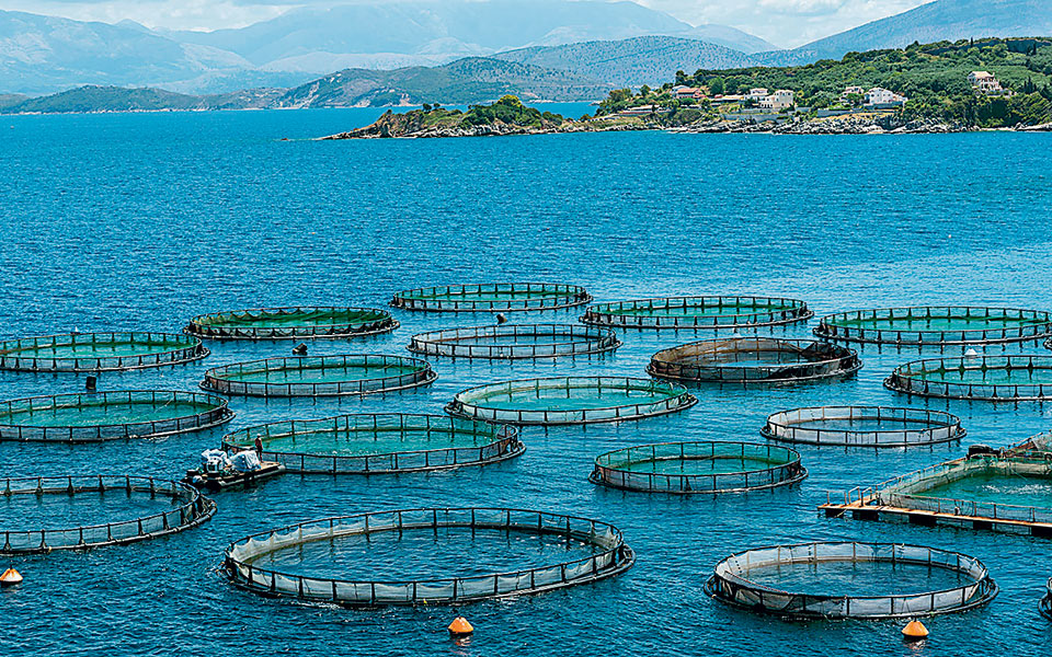 απώλειες-18-εκατ-εβδομαδιαίως-μετρούν-2369911