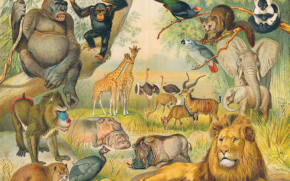 η-πολιτιστική-ατζέντα-της-εβδομάδας-2367018