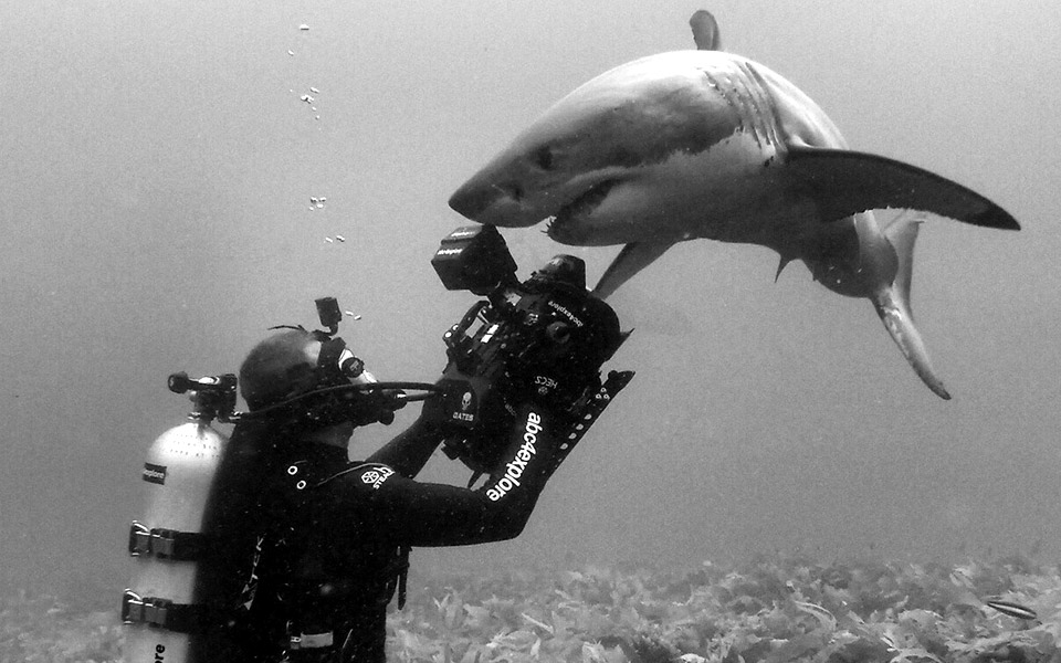 οι-μάρκο-πόλο-του-2020-2369423