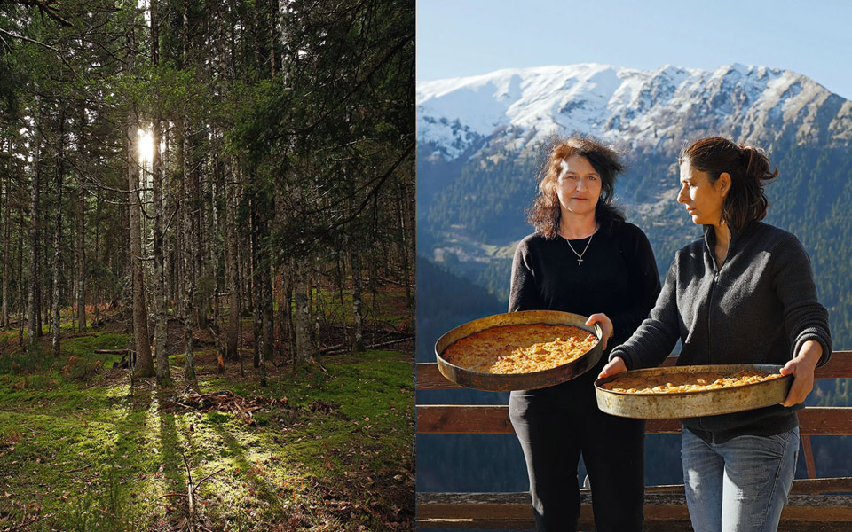 οι-γυναίκες-των-αγράφων-σκληρά-χέρια-τ-2366415