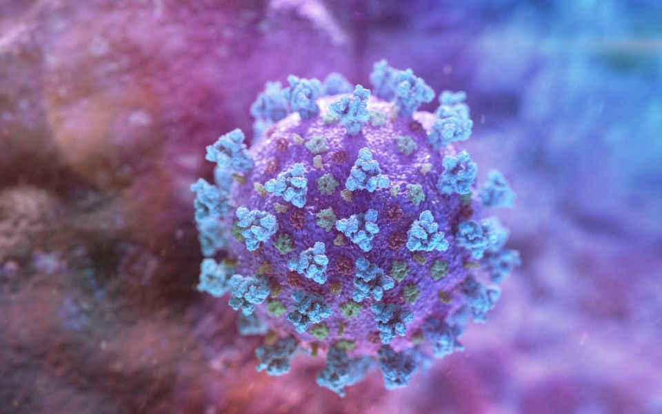 επιστήμονες-ρίχνουν-φως-στον-βιολο-2371141