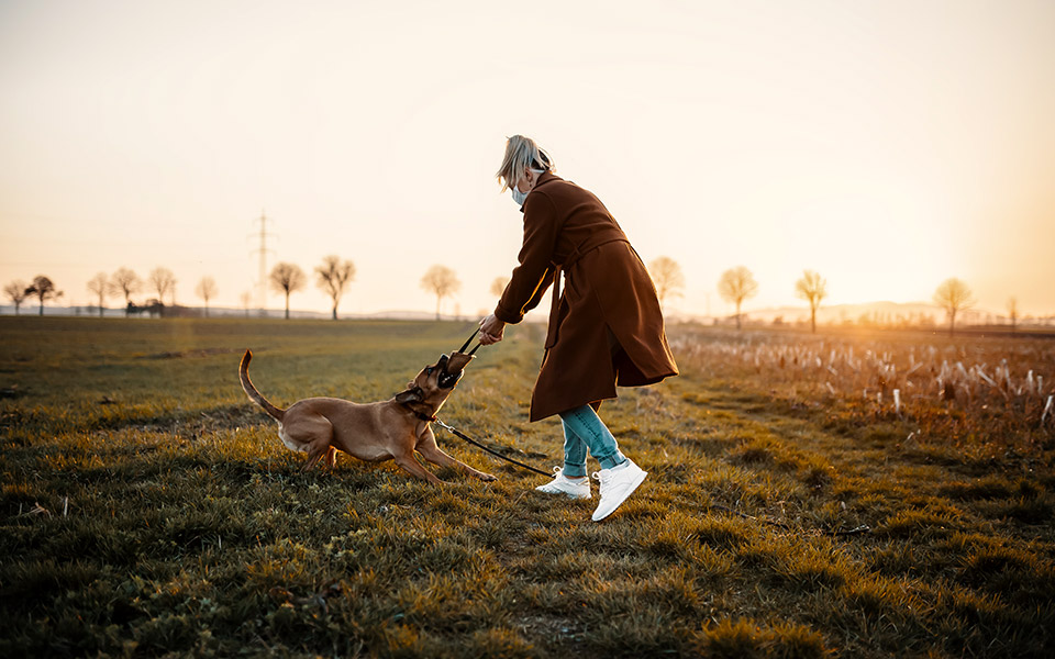 βόλτα-με-το-κατοικίδιο-εν-μέσω-πανδημί-2371241
