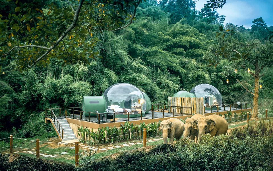 φιλοξενία-αλλιώς-2366566