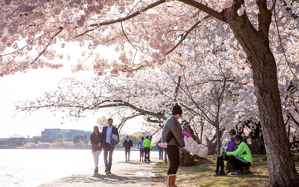σκληρή-η-άνοιξη-φέτος-στην-ουάσιγκτον-2372036