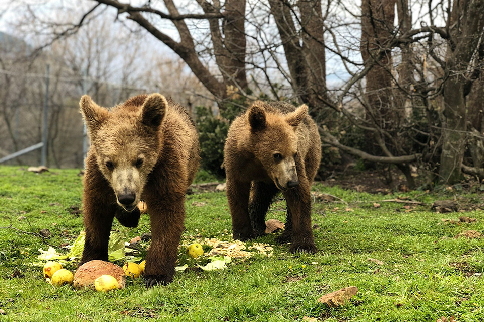 φωτογραφήματα-2373633