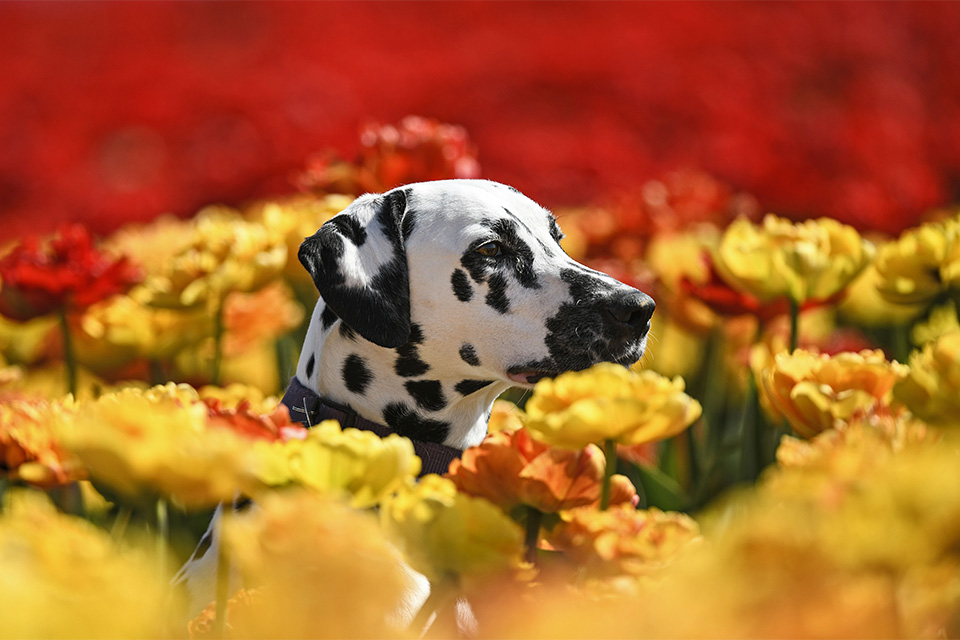 φωτογραφήματα-2373814