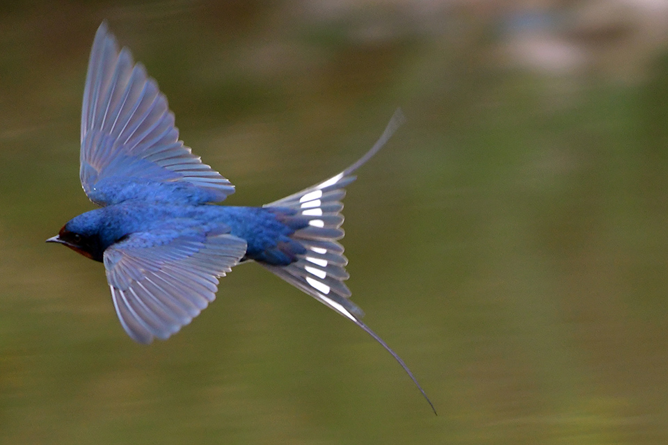 φωτογραφήματα-2372469