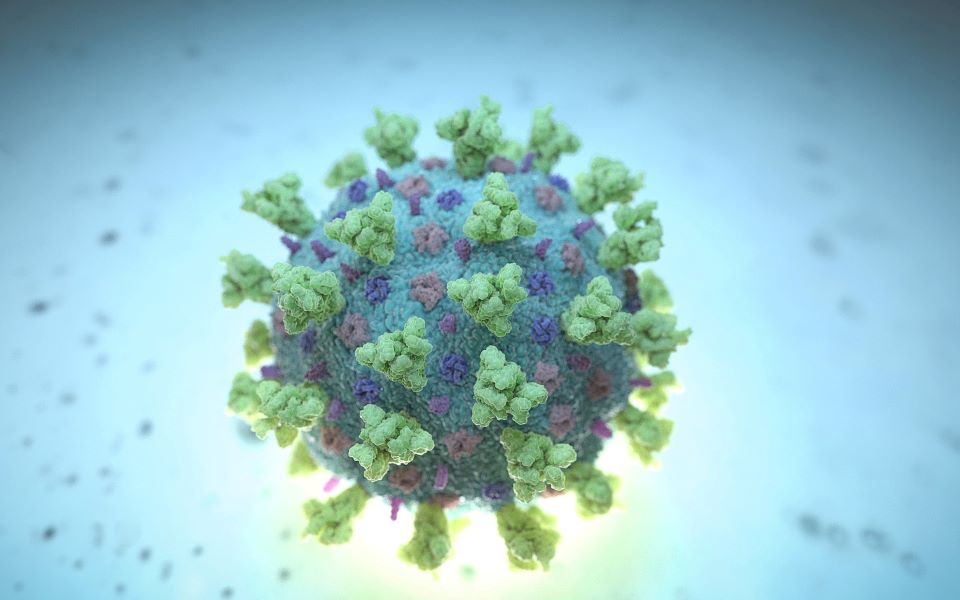 κορωνοϊός-23-ερωταπαντήσεις-για-τις-δια-2372629