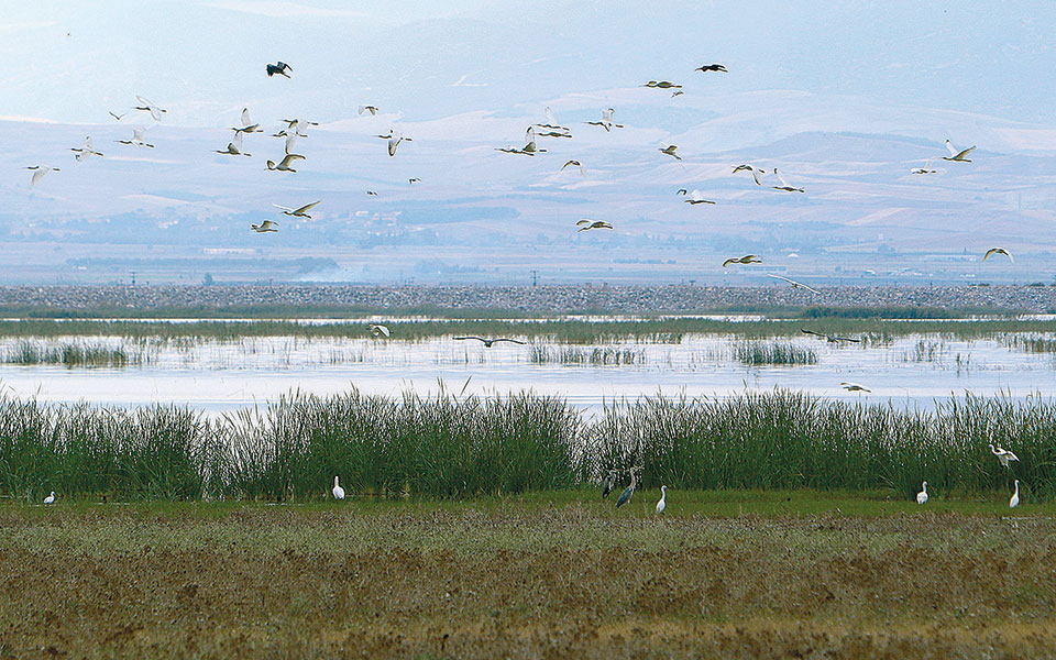 εμπλουτισμένο-το-περιβαλλοντικό-νομ-2375178