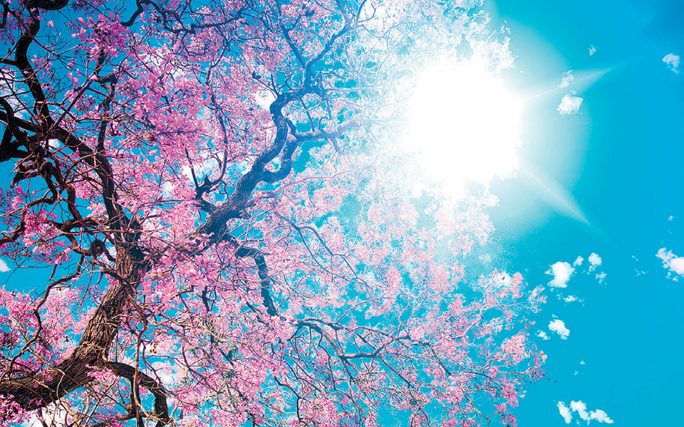 αικ-πολυμέρου-καμηλάκη-ο-χρόνος-είνα-2373918