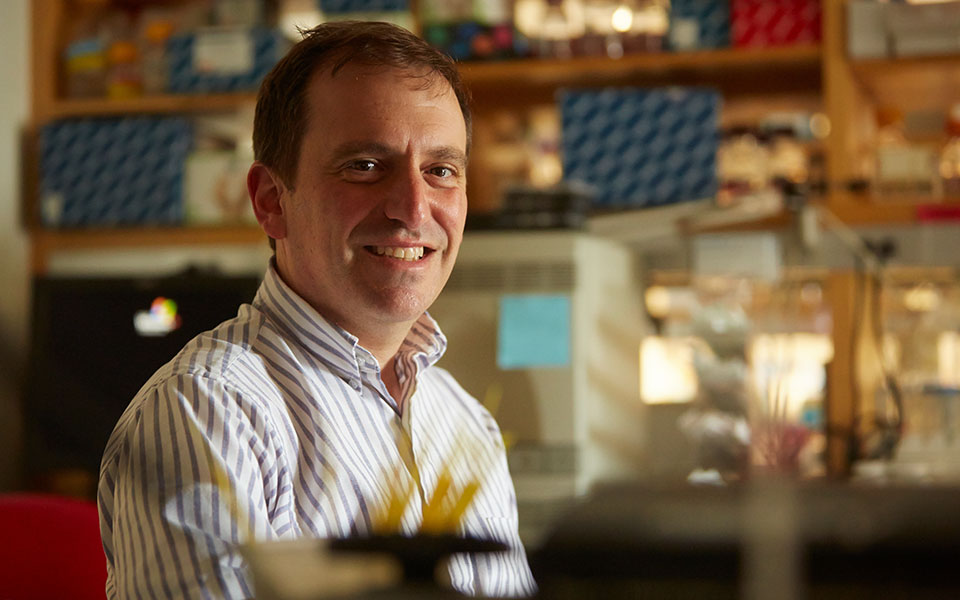 μαρκ-λίπσιτς-στην-κ-το-ναυάγιο-η-λέμ-2373232