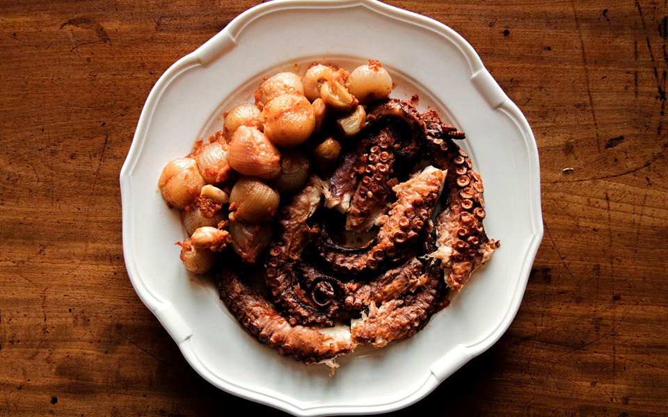 το-χταπόδι-που-αγαπούσε-ο-π-λ-φέρμορ-2373622