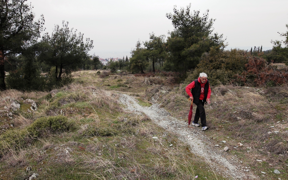 για-επικίνδυνες-αγέλες-σκύλων-στο-σέι-2371411