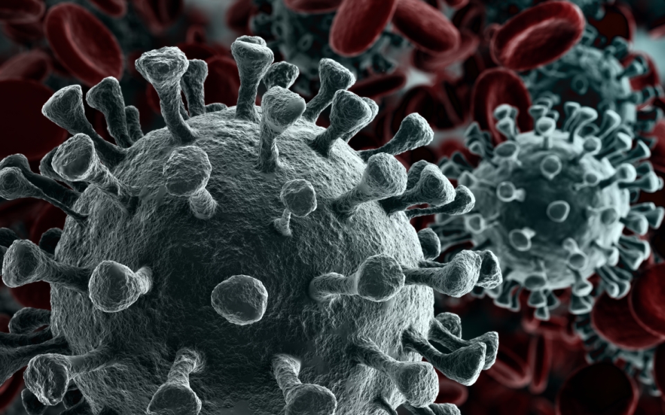 η-σημασία-των-μεταλλάξεων-στον-κορωνο-2375122